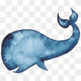 Transparent Cartoon Whale Png - Whale Watercolor Png, Png Download - cartoon whale png