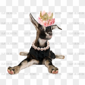 Iphone 6s Plus Case Goats, HD Png Download - sassy png