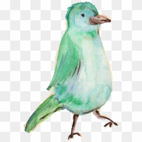 Water Color Bird Png - Bird Color Water Png, Transparent Png - bird transparent png