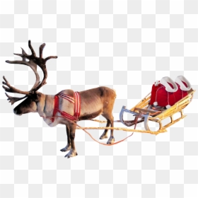 Santa Sleigh With Transparent Background, HD Png Download - reindeer antlers png