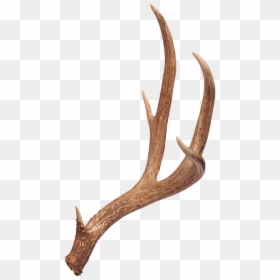 Deer Antlers, HD Png Download - reindeer antlers png