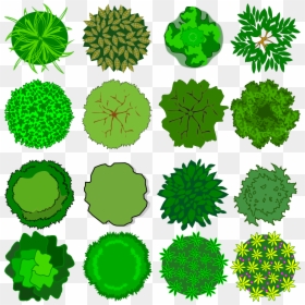 Top View Tree Clipart, HD Png Download - tree top png