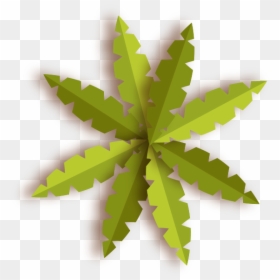 Maple Leaf, HD Png Download - tree top png