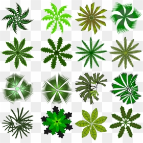 Palm Top View Icon, HD Png Download - tree top png
