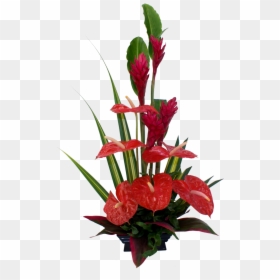 Anthurium Flower Arrangement Ideas, HD Png Download - hawaiian flowers png