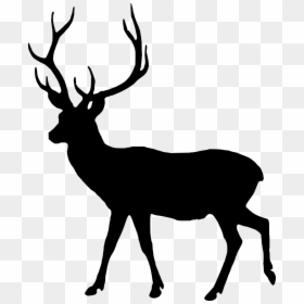 Deer Black And White, HD Png Download - reindeer antlers png