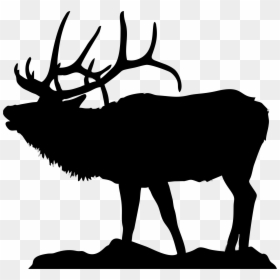 Black And White Elk, HD Png Download - reindeer antlers png