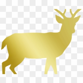 Shadow Of A Reindeer, HD Png Download - reindeer antlers png
