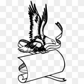 Bald Eagle Free Clipart, HD Png Download - scroll banner png