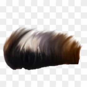 Men hair PNG image transparent image download, size: 1024x819px