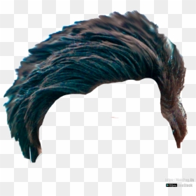 Hairstyle For Men Png For Picsart, Transparent Png - hairstyle png for picsart