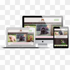 Web Design, HD Png Download - about us png images for website