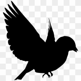 Flying Birds, HD Png Download - bird silhouette png