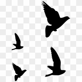Dibujos De Pajaros Volando, HD Png Download - bird silhouette png