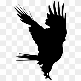 Png Format Bird Logo Png, Transparent Png - bird silhouette png