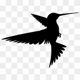 Silhouette Of A Bird Flying, HD Png Download - bird silhouette png