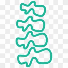 Vertebral Column, HD Png Download - spine png