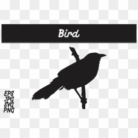 Batik Mega Mendung Png, Transparent Png - bird silhouette png