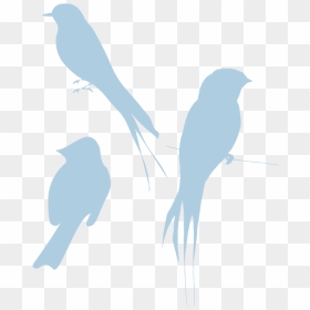 Bird Silhouette, HD Png Download - bird silhouette png