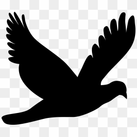 Flying Bird, HD Png Download - bird silhouette png
