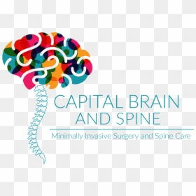 Brain And Spine, HD Png Download - spine png