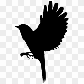 Illustration, HD Png Download - bird silhouette png