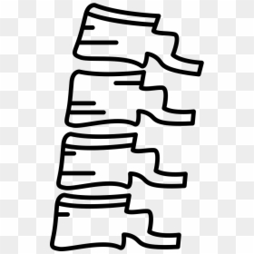 Vertebral Column, HD Png Download - spine png