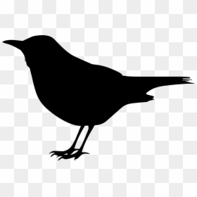 Clip Art Black Bird, HD Png Download - bird silhouette png