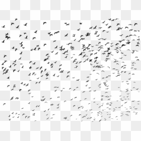 Flying Bird Birds Png, Transparent Png - bird silhouette png