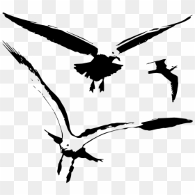 Seagull Vector Png, Transparent Png - bird silhouette png