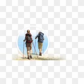 Spine Conditions - Backpacking, HD Png Download - spine png