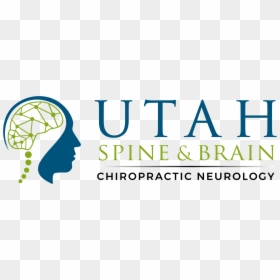 Utah Spine & Brain Chiropractic Neurology, HD Png Download - spine png