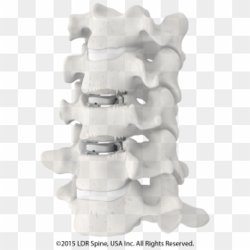 2 Discs In Spine Model - Mobi C Replacement Disc, HD Png Download - spine png