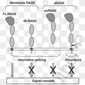 Diagram, HD Png Download - rage png