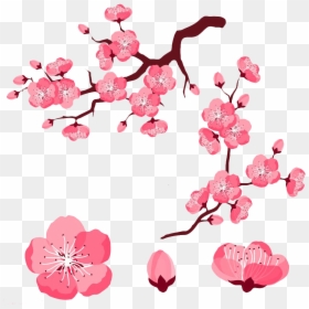 Vector Cherry Blossom Png, Transparent Png - cherry blossom petals png