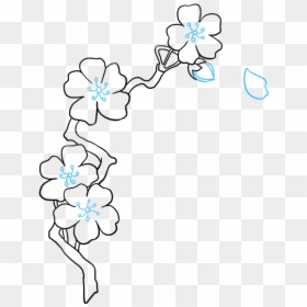 Draw Cherry Blossom Petals, HD Png Download - cherry blossom petals png