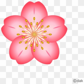 Cherry Blossom Flower Clipart, HD Png Download - cherry blossom petals png