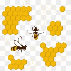 Cartoon Honeycomb, HD Png Download - honeycomb pattern png