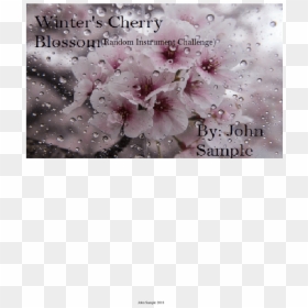Cherry Blossom, HD Png Download - cherry blossom petals png