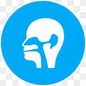 Ear Otology Conditions In Boise Id - Twitter Moments Icon, HD Png Download - skype logo png transparent background