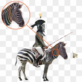 Zebra Clipart , Png Download - Zebra With White Background, Transparent Png - zebra clipart png