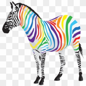 Colourful Zebra Png, Transparent Png - zebra clipart png