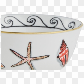 Ceramic, HD Png Download - white starfish png