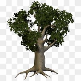 3d Papaya Tree Png - Big Tree Png, Transparent Png - 3d palm tree png
