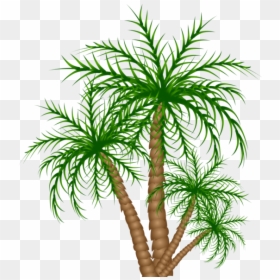 Date Tree Clipart Png, Transparent Png - tropical trees png