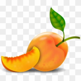 Durazno Dibujo Png, Transparent Png - peach tree png