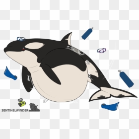 Killer Whale Clipart Big Whale - Cartoon, HD Png Download - orca whale png