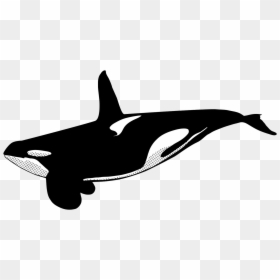 Killer Whale Symbol Tattoo, HD Png Download - orca whale png