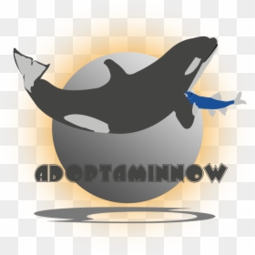 Killer Whale , Png Download - Killer Whale, Transparent Png - orca whale png