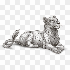 Lioness And Cubs Png, Transparent Png - leopard spots png